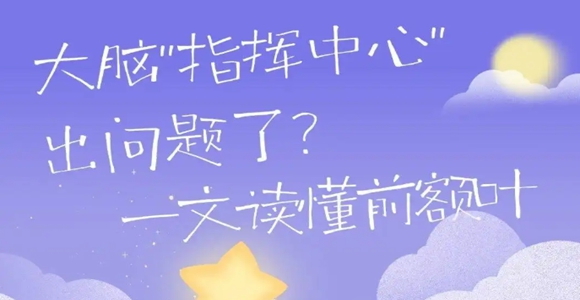 今天起，请尊重一下你的前额叶!