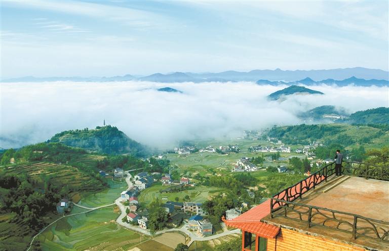 陕西汉阴县国有凤凰山林场因地制宜发展林下经济