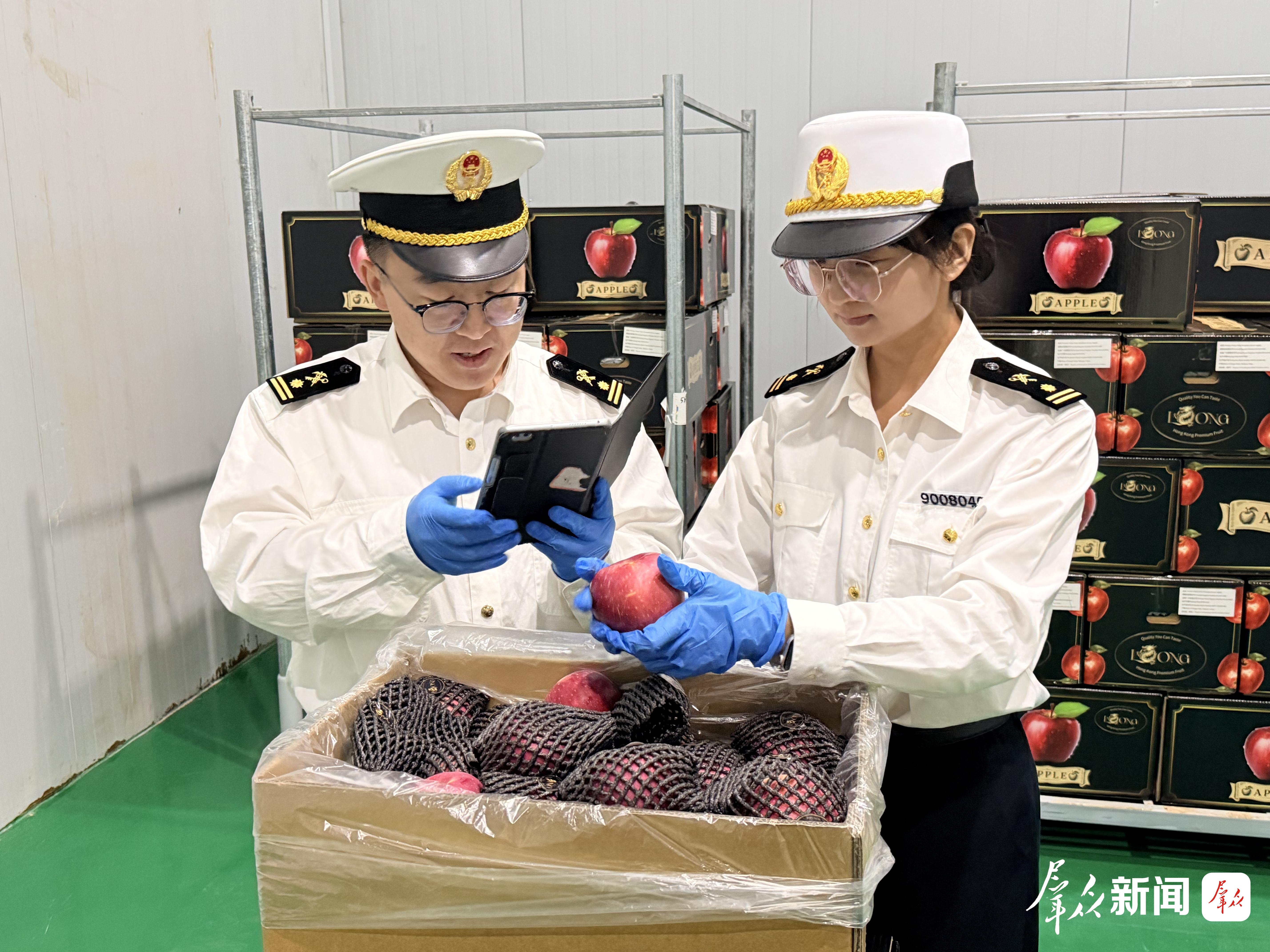 153箱绥德山地苹果顺利抵港 榆林苹果实现出口零的突破