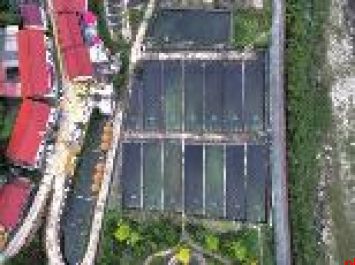 秦岭深山佛坪凭啥养出出口冷水鱼？