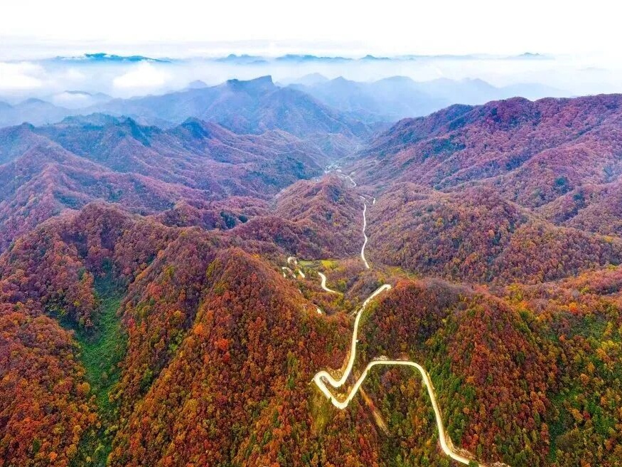 上榜中国最美秋色 汉中绝美秋景藏不住了