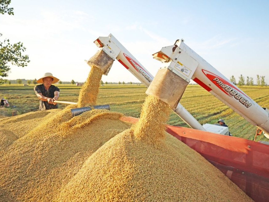 前三季度我国GDP同比增长4.6%