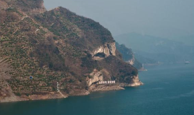 湖北三峡的“小狗山”火了游客排成长龙 村里橙子不够卖