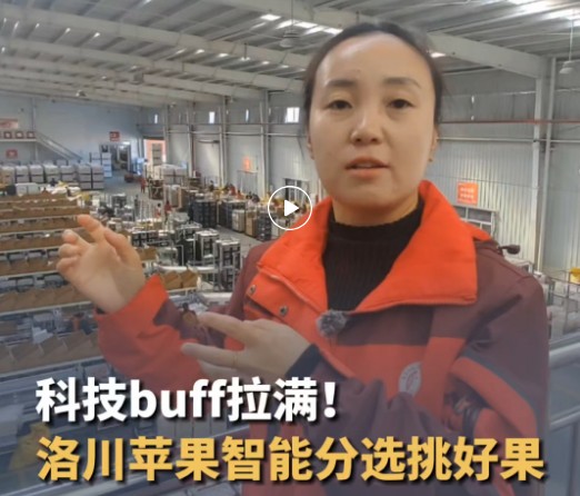 秦豫共潮生｜洛川苹果科技buff拉满！360°全身“体检”筛出优质甜果