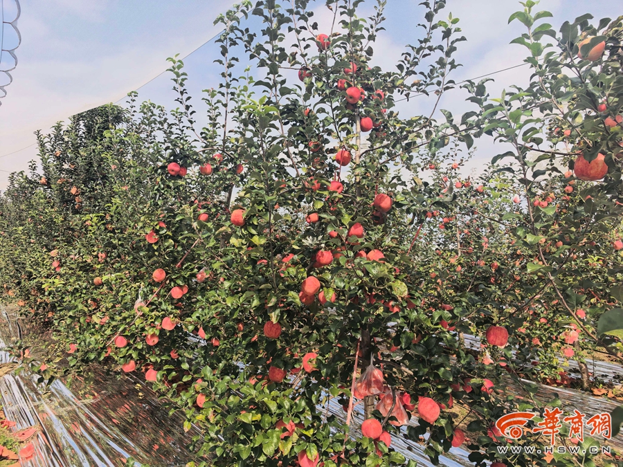 QjJlVynzl1lWH48G.jpg 图片3.jpg