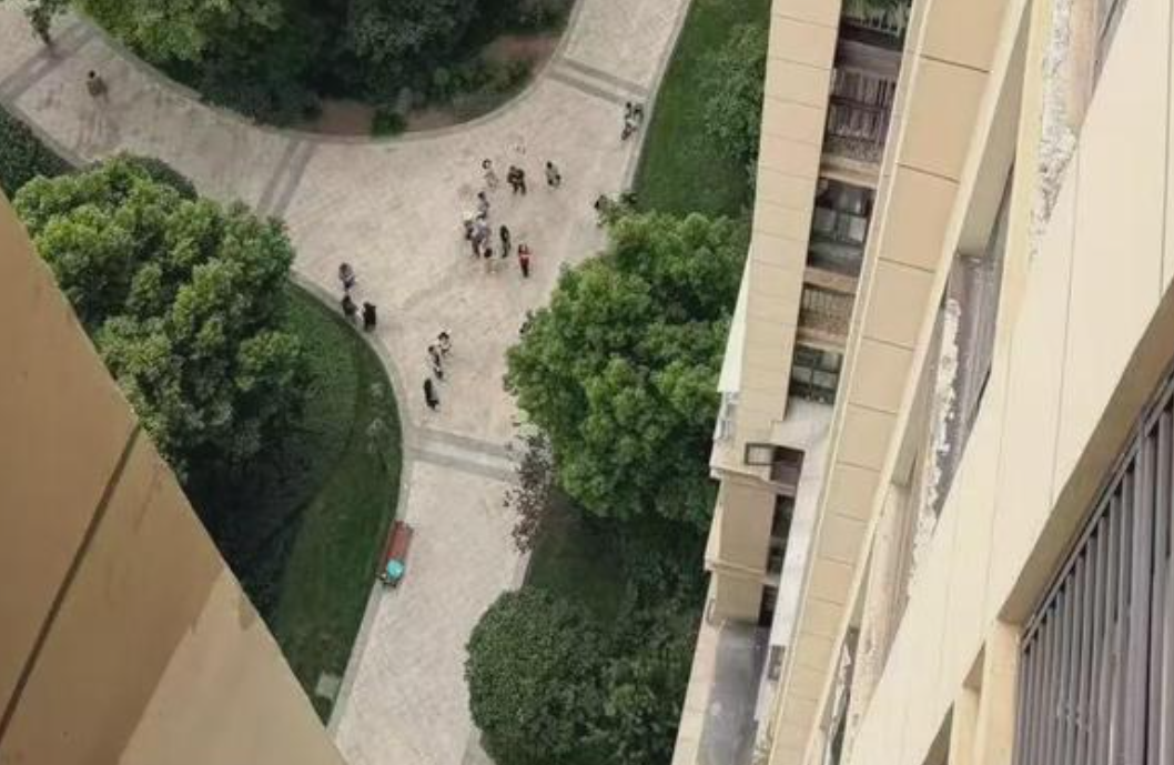 遛狗时2岁儿子坠亡 父亲扔掉孩子部分遗物：看到就难受