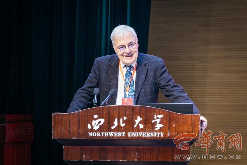 罗泰教授发言.jpg