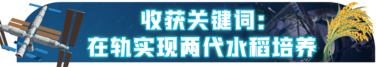 WqW3HyVCaFMIjoYz.png image.png