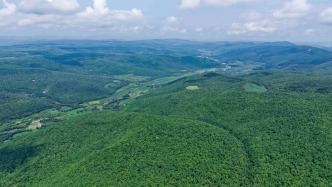 东北虎豹国家公园设立5年：重现“众山皆有虎”景象