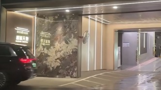 “南京3000万豪宅地库出入口在隧道”引关注 开发商回应