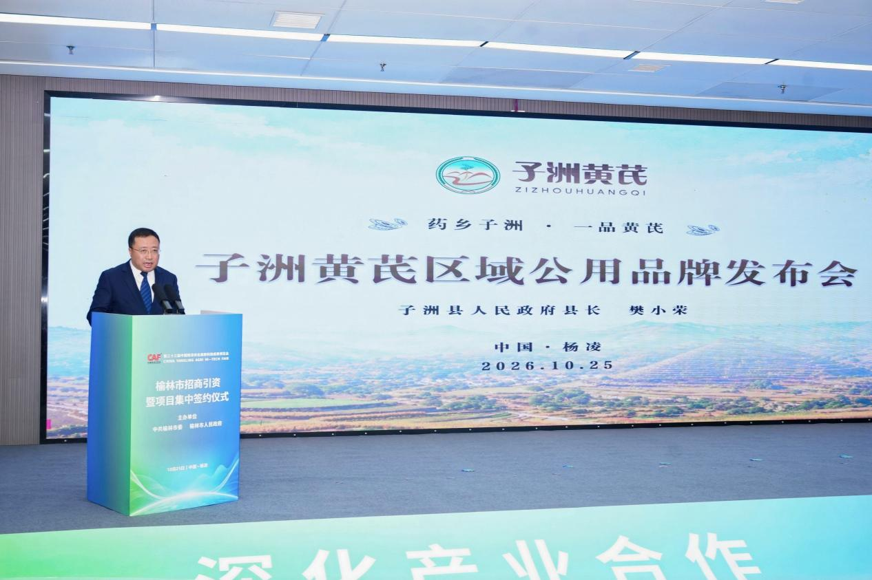 聚力延链补链 培育特色经济新增长极 “子洲黄芪”区域公用品牌发布 锚定百亿级中药材产业集群 