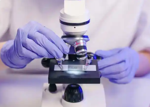 陕西出台科研诚信管理办法 对学术不端划红线