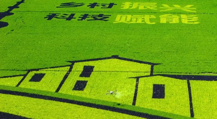 科技赋能现代农业 创新助力乡村振兴