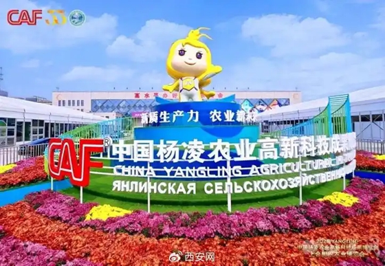 向“新”而行 硕果满枝