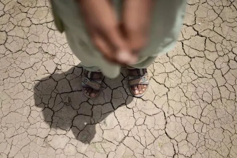联合国:全球高温致死人数达71万,超7成死亡可归因于人为造成的气候变化